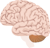 Brain Ae Sticker by Moreira Merlo