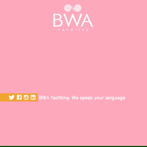 BWA Yachting GIF