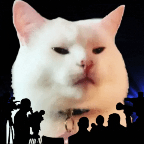 Smudge Photo Shoot GIF