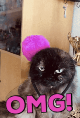 Omg GIF