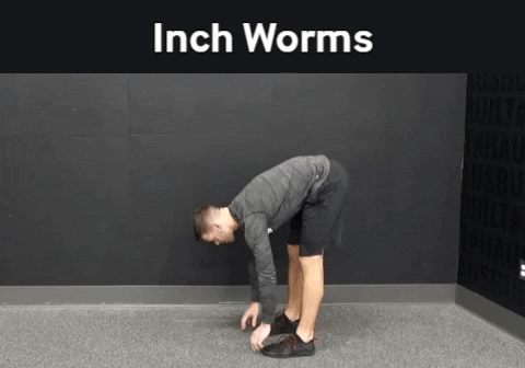Work Out Fitness GIF by TCO - Find & Share on GIPHY