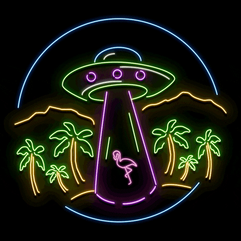 calexakis neon vaporwave ufo flamingo GIF