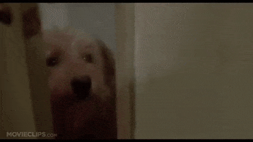 The Jerk GIF