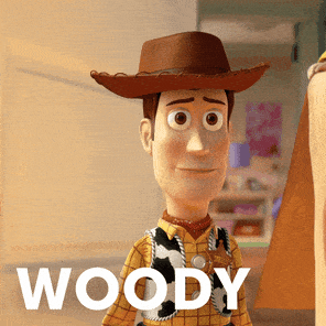 Woody meme gif