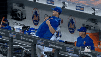 excited ny mets GIF by New York Mets