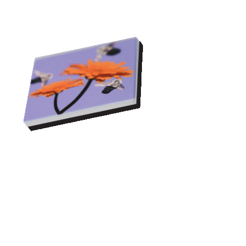 Bumble Bee Coasters Sticker by Wear The Wonder