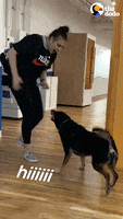 200.gif?cid=fc005b08b691c007d21e7fddc9d56a1b7e9b8ce2e1fa0a6d&rid=200.gif&ct=g
