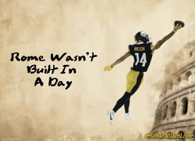Pittsburgh Steelers GIF