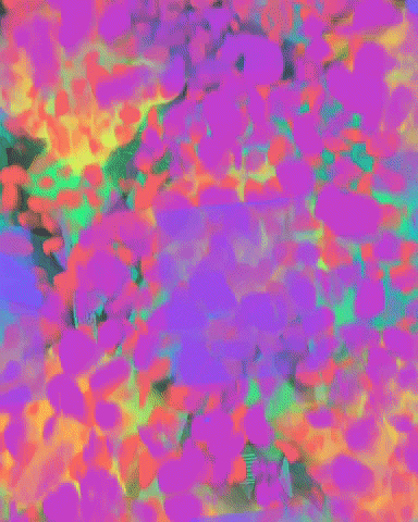Trippy GIF