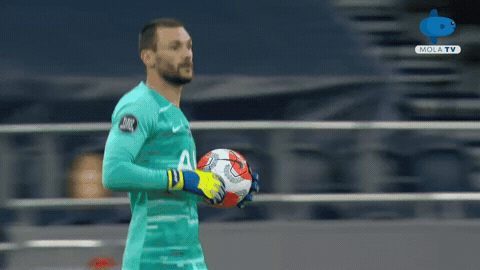 Tottenham Hotspur Stadium GIFs - Get the best GIF on GIPHY