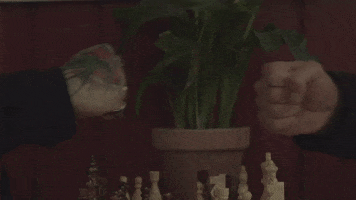 Zealand GIF