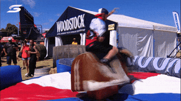 V8 Supercars Lol GIF by Supercars Championship