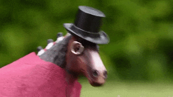 skintdressagedaddy angry mad horse prince GIF