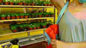 Shopping GIF