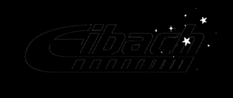 Eibach USA GIF