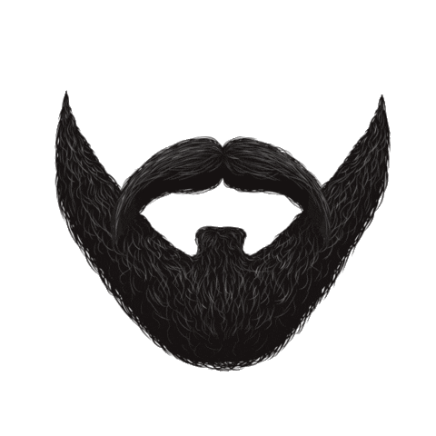 Nova Fit Oficial Sticker