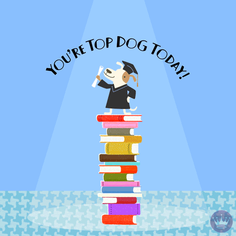 Awesome Hallmark Ecards GIF by Hallmark Gold Crown