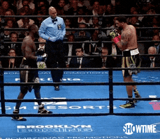 deontay wilder sport GIF by SHOWTIME Sports