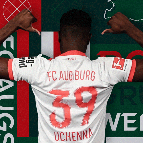 Bundesliga Nigeria GIF by FC Augsburg 1907