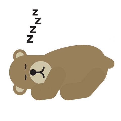 Bear Sleeping GIF by ThisisFINLAND