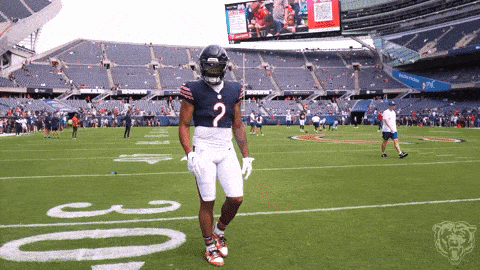 Bears Continue To Own The Carolina Panthers