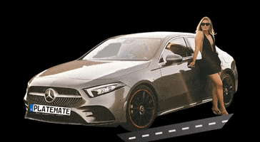 Plate Mate GIF
