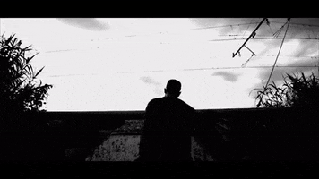 Ivo GIF