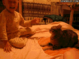 Video gif. A baby points to a cat in front of him while sobbing. The baby hit the cat hard and the cat hisses at them. The cat then lunges at the baby, causing the baby to fall off of the mattress. 