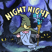 Good Night Wizard GIF by Parker Jackson