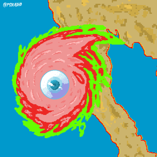 hurricane odile artists on tumblr GIF by Animation Domination High-Def