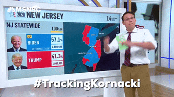 Voting New Jersey GIF by MSNBC