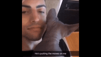 pod  GIF