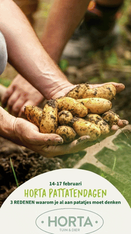 Horta GIF