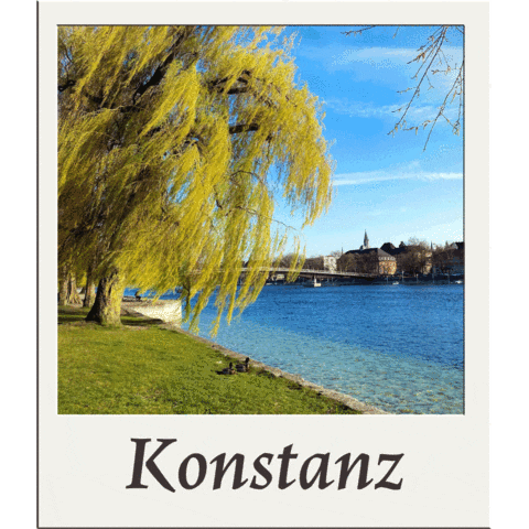 Constance Bodensee GIF by KonstanzInfo