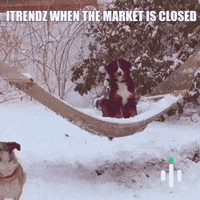 Stock Trading Lol GIF by iTrendz Trading