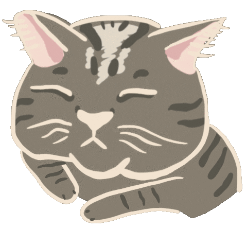 Cat Sticker