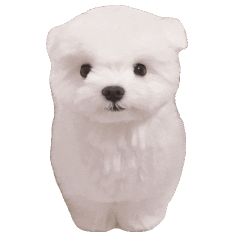Dog 犬 Sticker