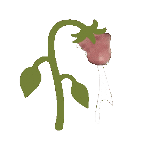 Wilted Flower Sticker