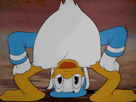 Donald Duck Disney GIF