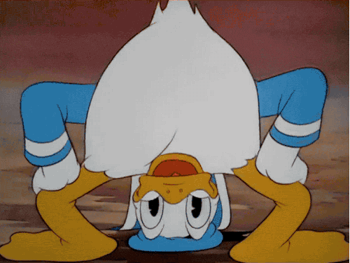 Donald Duck Disney GIF - Donald Duck Disney GIF