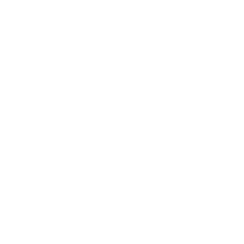 pinhapresidente Sticker