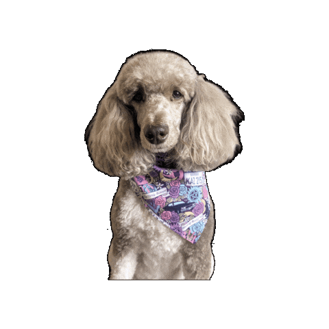 Bandana Dog Sticker by Geekster Pets