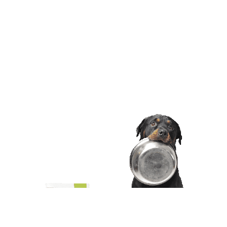 FreeSandsBio Sticker