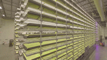 Grow Sci Fi GIF by Nokia Bell Labs