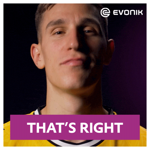 Borussia Dortmund Yes GIF by Evonik