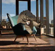 Good Morning Coffee GIF