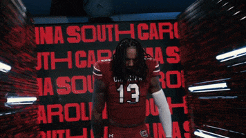 Go College Football GIF by gamecocksonline