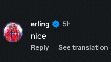 Erling Haaland GIF