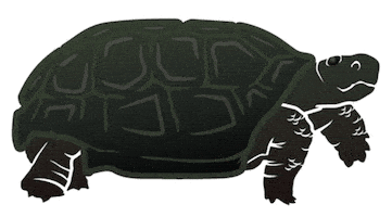Gopher Tortoise Florida Sticker by Squatch and Siren