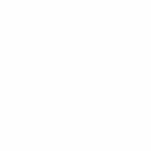 Bodo2024 GIF